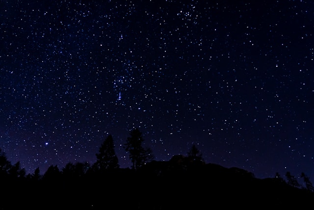 Photograph: The night sky filled with stars rises above the silhouettes of evergreen trees.